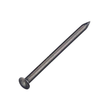 2.7x55 mm Spijker met bolkop RVS - 1000 gram